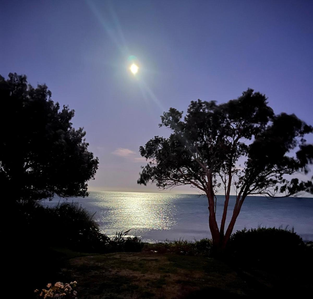 Beachfront Bliss - Your Parapara Seaside Retreat Buitenkant foto