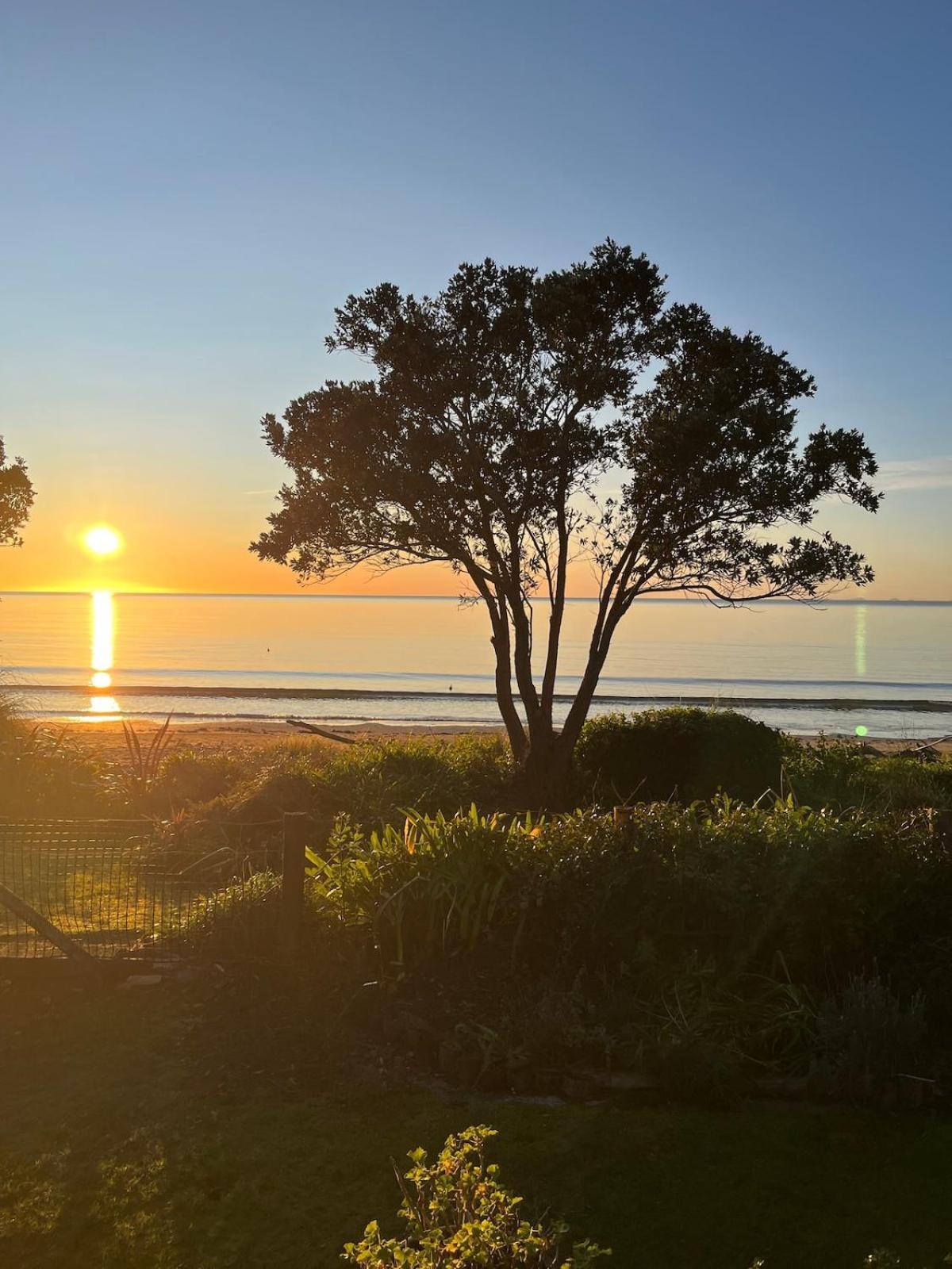 Beachfront Bliss - Your Parapara Seaside Retreat Buitenkant foto